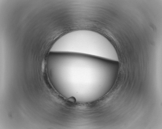 X0000111590076200907161202