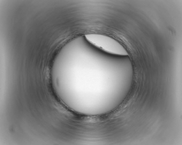 X0000111590077200907161202