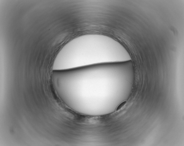 X0000111590078200907161202