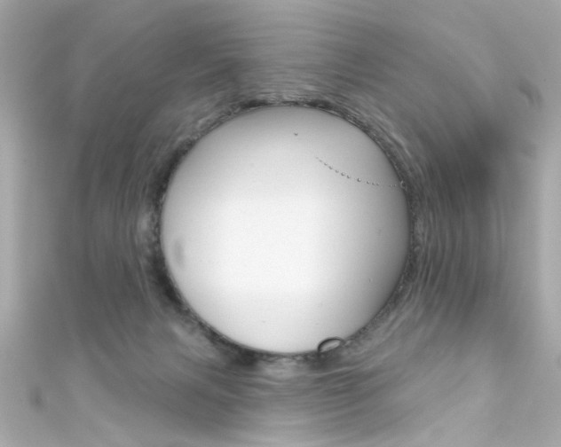 X0000111590079200907161202