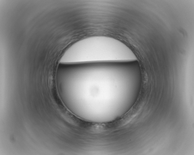 X0000111590080200907161202