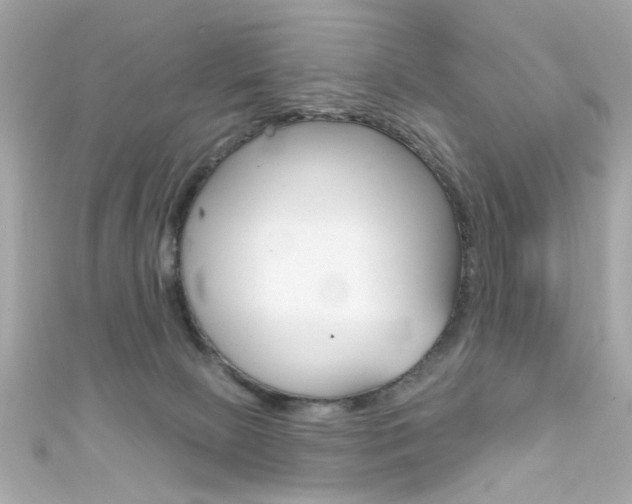 X0000111590081200907161202