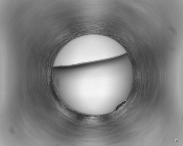 X0000111590082200907161202