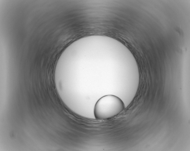 X0000111590084200907161202