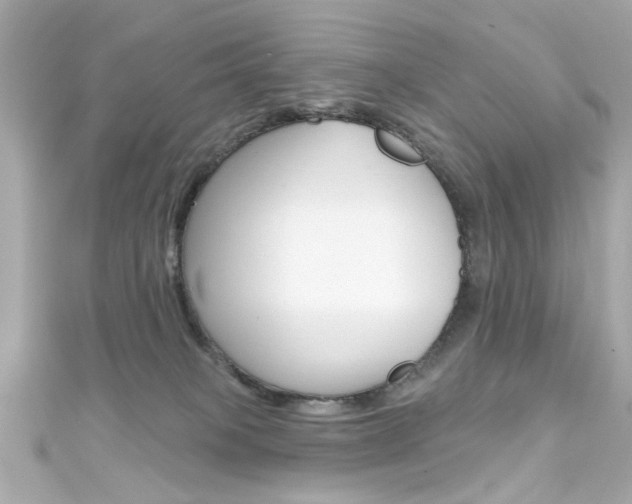 X0000111590085200907161202