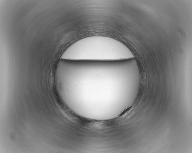 X0000111590086200907161202