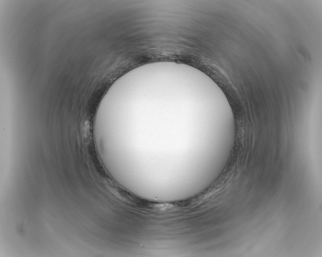 X0000111590087200907161202