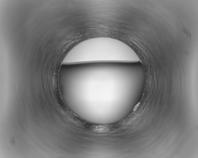 X0000111590088200907161202