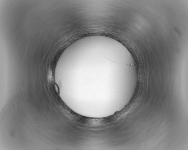 X0000111590089200907161202