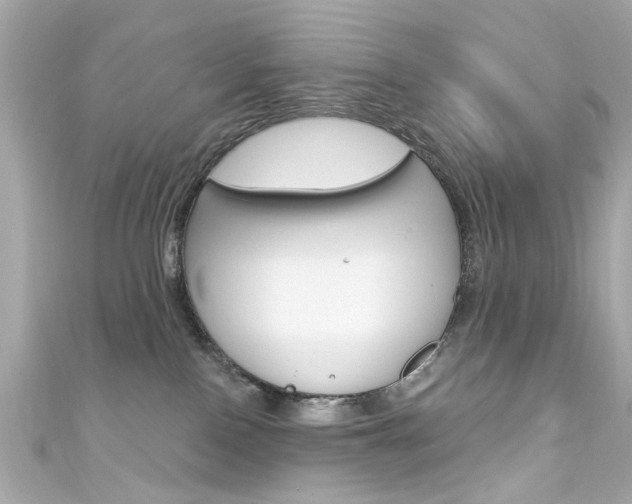 X0000111590090200907161202