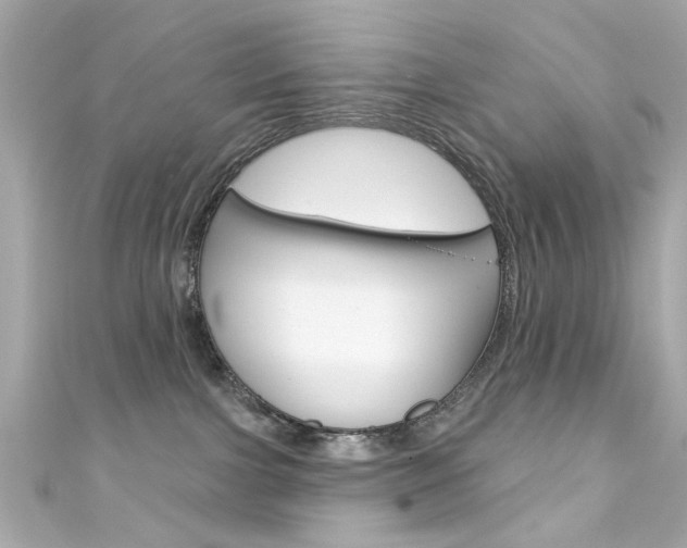 X0000111590091200907161202