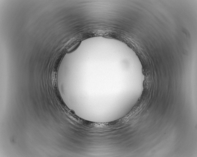 X0000111590093200907161202