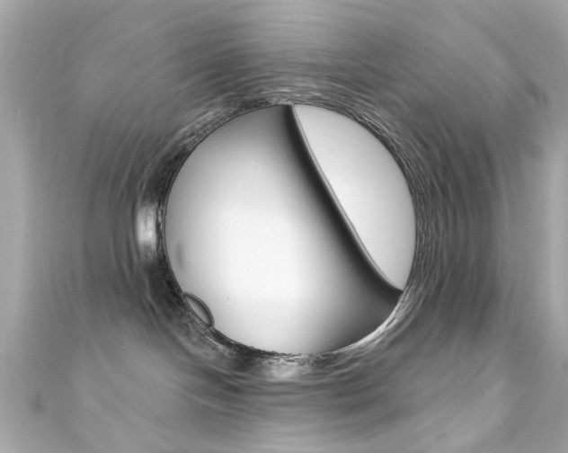 X0000111590094200907161202