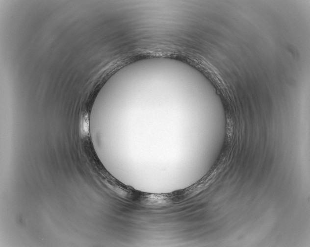 X0000111590095200907161202