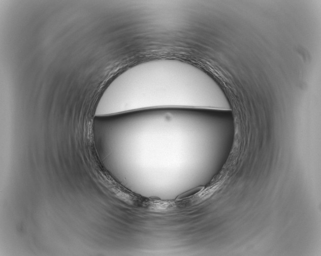 X0000111590096200907161202