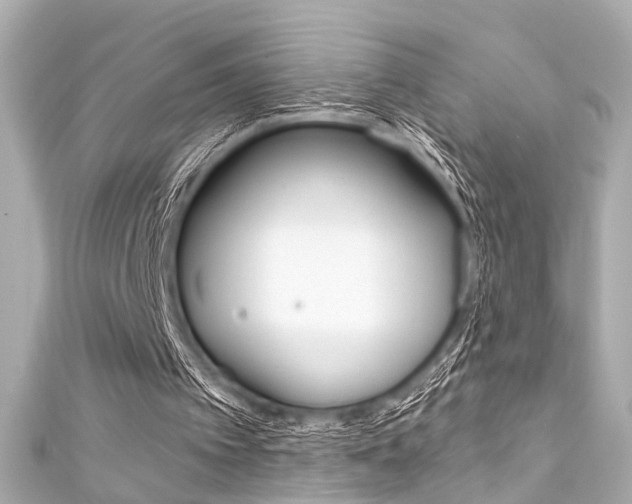 X0000111590097200907161201