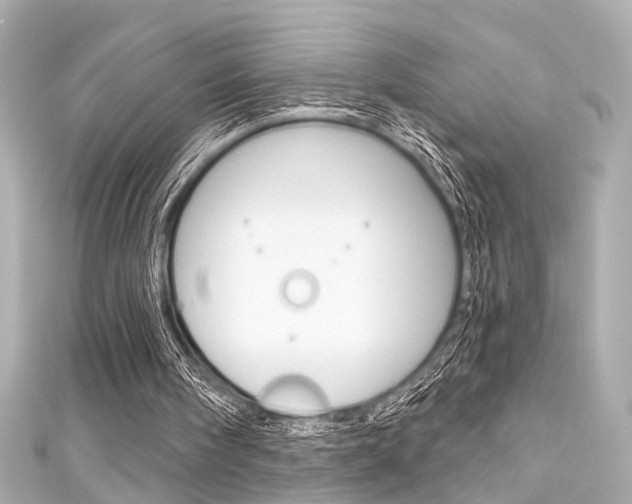 X0000111590098200907161201