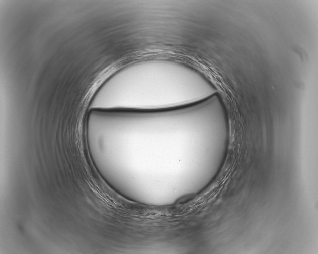 X0000111590099200907161201