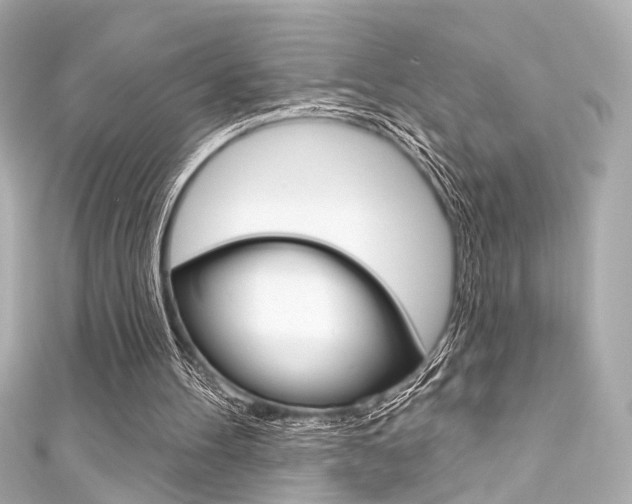 X0000111590100200907161201