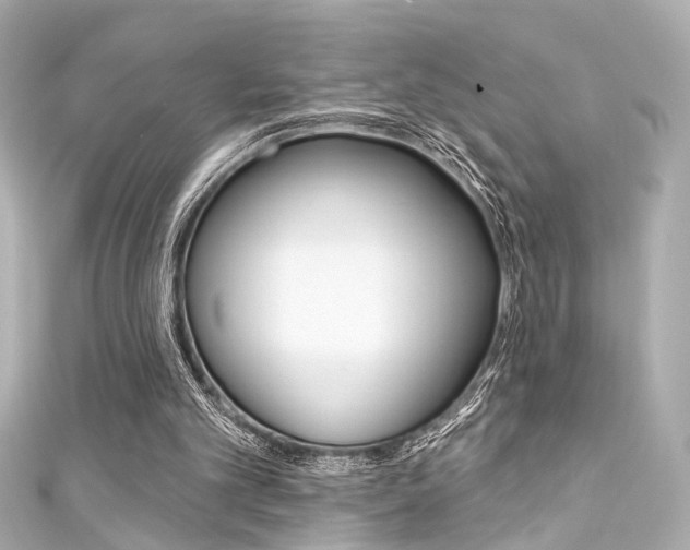 X0000111590101200907161201