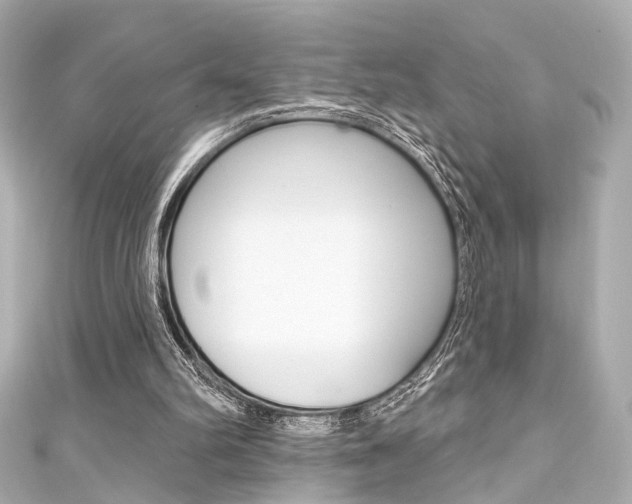 X0000111590102200907161201