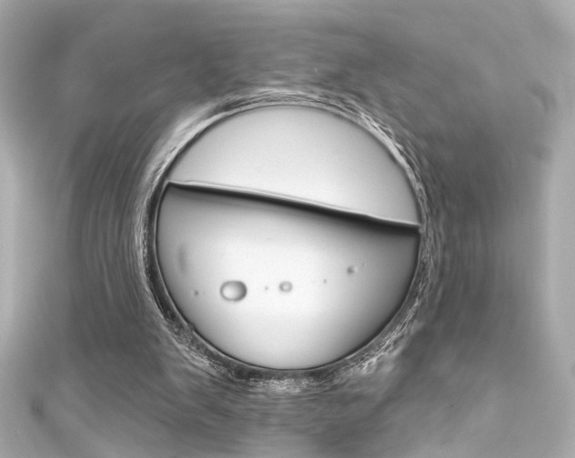 X0000111590103200907161201