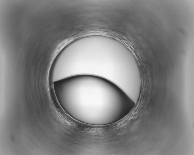 X0000111590104200907161201