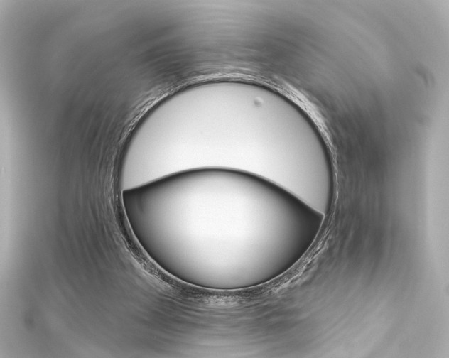 X0000111590105200907161201