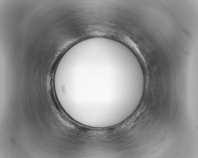 X0000111590106200907161201