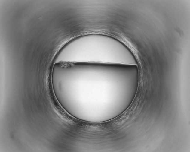 X0000111590107200907161201