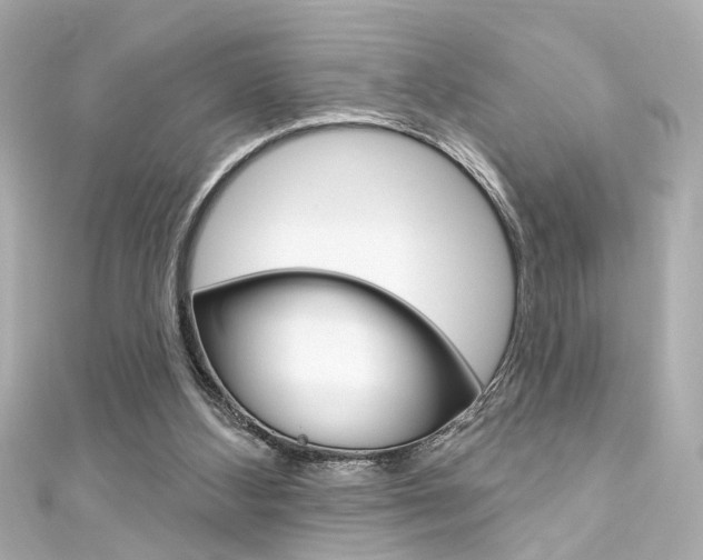 X0000111590108200907161201