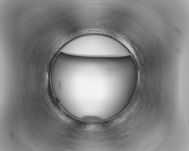 X0000111590109200907161201