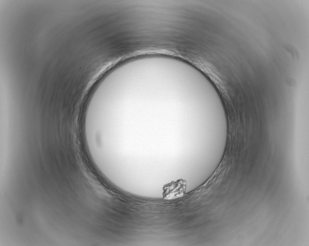 X0000111590112200907161201