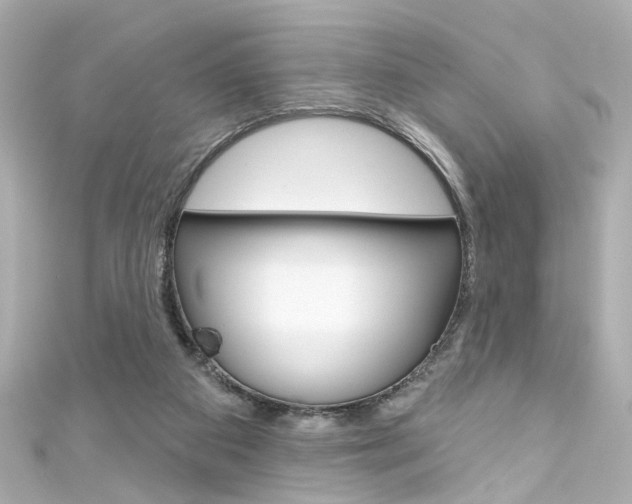 X0000111590113200907161201