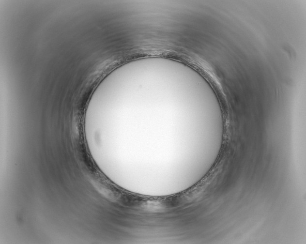 X0000111590114200907161201