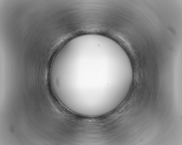 X0000111590115200907161201