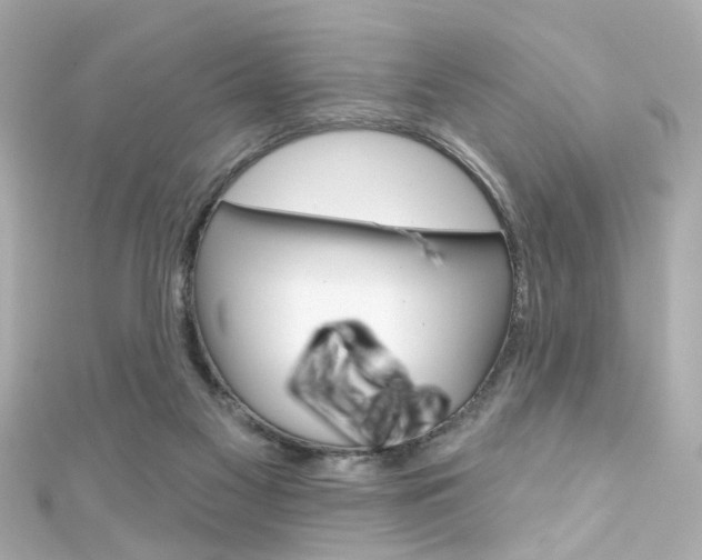 X0000111590117200907161201