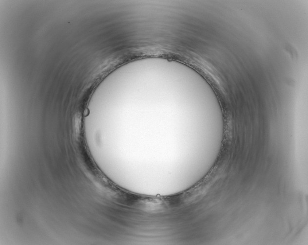 X0000111590118200907161201