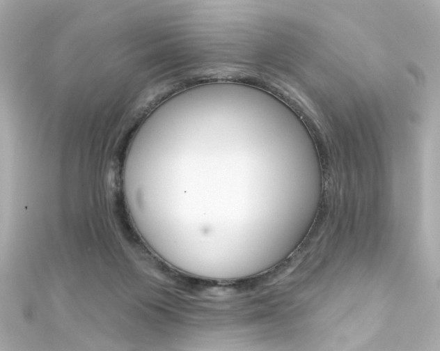 X0000111590119200907161201