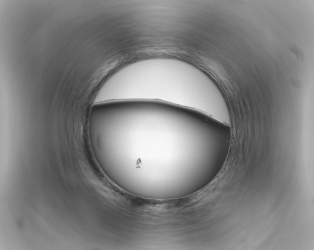 X0000111590120200907161201