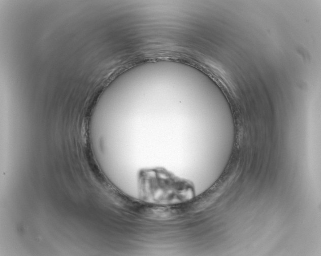 X0000111590121200907161201