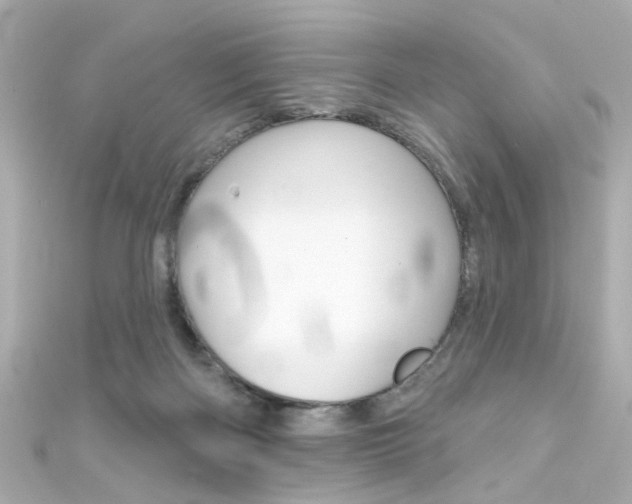 X0000111590122200907161201