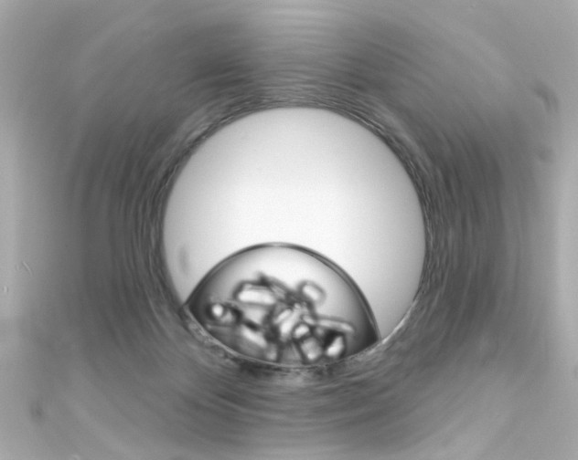 X0000111590124200907161201