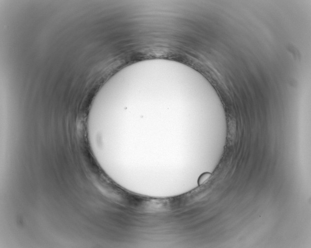 X0000111590126200907161201