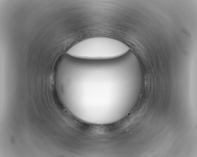 X0000111590127200907161201