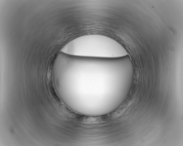 X0000111590129200907161201