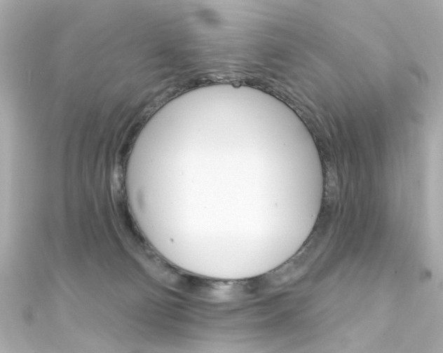 X0000111590130200907161201