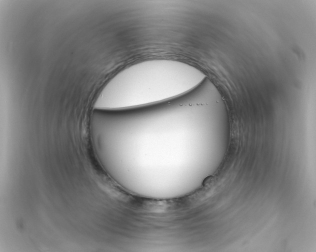 X0000111590131200907161201