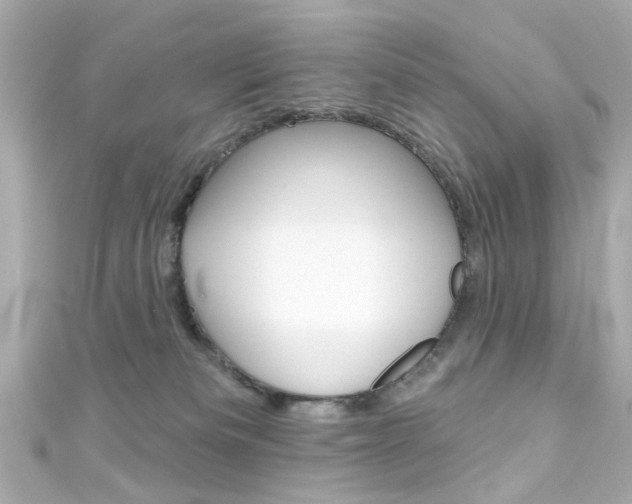 X0000111590133200907161201