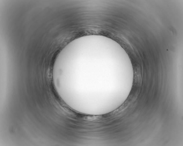 X0000111590134200907161201